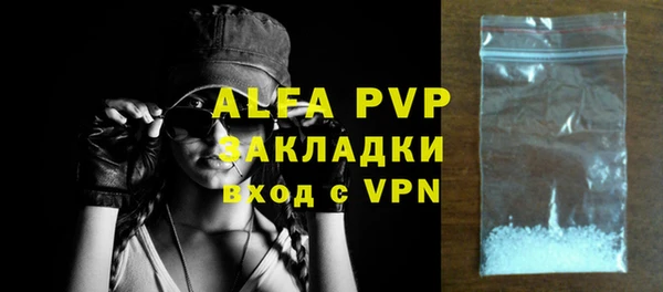 шишки Абаза