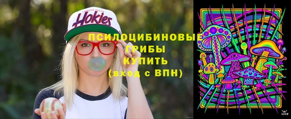 шишки Абаза