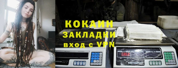 шишки Абаза